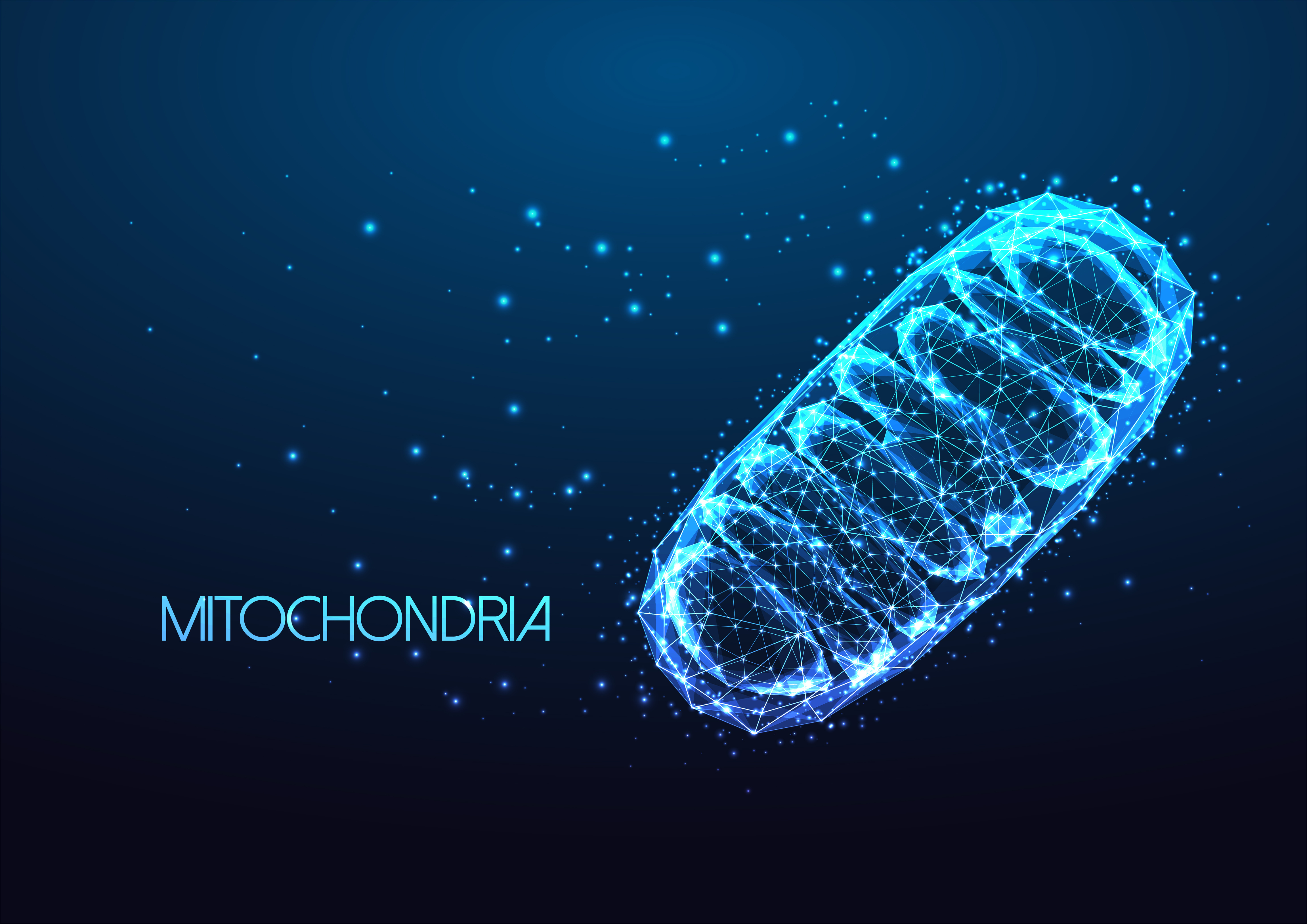 Mitochondria, tvorba ATP, bunkové dýchanie a tvorba deutéria zbavenej vody